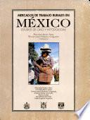 Mercados de trabajo rurales en México