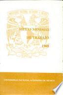 Metas Minimas de Trabajo