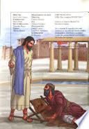 Mi primera Biblia: Jesús y los enfermos