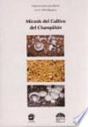 Micosis del cultivo del champiñón