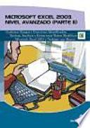 Microsoft Excel 2003. Nivel avanzado (Parte II)