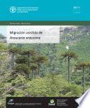 Migración asistida de Araucaria araucana