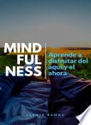 Mindfulness