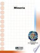 Minería. Censos Económicos 2004