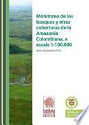 Monitoreo de los bosques y otras coberturas de la Amazonia colombiana. Datos del año 2012.