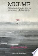 Mulme. Matrimonio y unión libre en menores de edad en México