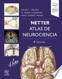 Netter. Atlas de neurociencia