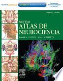 Netter. Atlas de Neurociencias