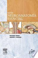 Netter. Neuroanatomía esencial