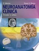 Neuroanatoma clnica / Clinical Neuroanatomy
