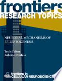 Neuronal mechanisms of epileptogenesis