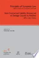 Non-Contractual Liability Arising out of Damage Caused to Another