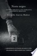 Norte negro