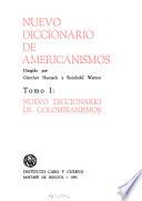 Nuevo diccionario de americanismos