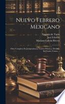 Nuevo Febrero Mexicano