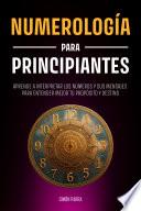 Numerología para principiantes