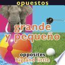 Opuestos: Grande y pequeño