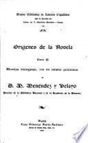 Origenes de la novela