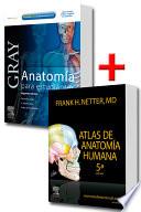 Pack Anatomía: Drake + Netter (versión ebook)