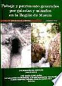 Paisaje y patrimonio generados por galerías y minados en la Región de Murcia