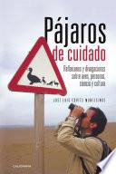 Pájaros de cuidado