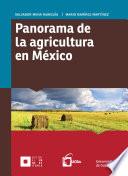 Panorama de la agricultura en México