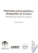 Panorama socioeconómico y demográfico de Texcoco