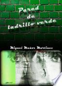 Pared de Ladrillo Verde