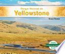 Parque Nacional de Yellowstone (Yellowstone National Park)