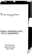 Pastoral indigena hoy, en la Amazonia