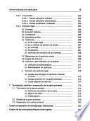 Patria potestad en el Mercosur