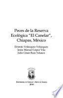 Peces de la reserva ecológica El Canelar, Chiapas, México
