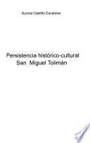 Persistencia histórico-cultural