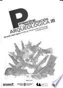 Perspectivas de la investigación arqueológica III