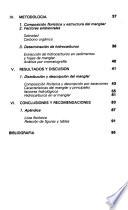 Petróleo y manglar