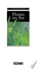 Plantas sin flor