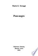 Pozo negro