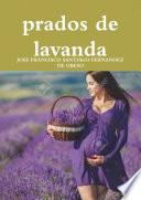 prados de lavanda