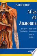 Principios de anatomía y fisiología