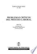 Problemas críticos del proceso laboral