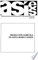 Producción agrícola en Santa María Cauqué