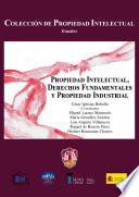 Propiedad Intelectual, Derechos Fundamentales y Propiedad Industrial