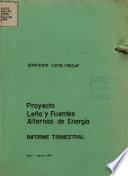 Proyecto Lena y Fuentes Alternas de Energia -INFORME TRIMESTRAL.