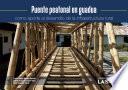 Puente peatonal en guadua como aporte al desarrollo de la infraestructura rural