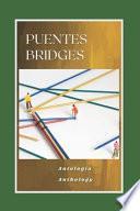 Puentes / Bridges