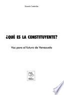 Qué es la constituyente?