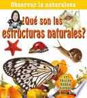 ¿Qué Son Las Estructuras Naturales?