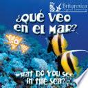 ¿Qué veo en el mar? (What Do You See, in the Sea?)