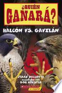 ¿Quién ganará? Halcón vs. Gavilán (Who Will Win? Falcon vs. Hawk)