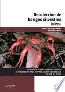 Recolección de hongos silvestres